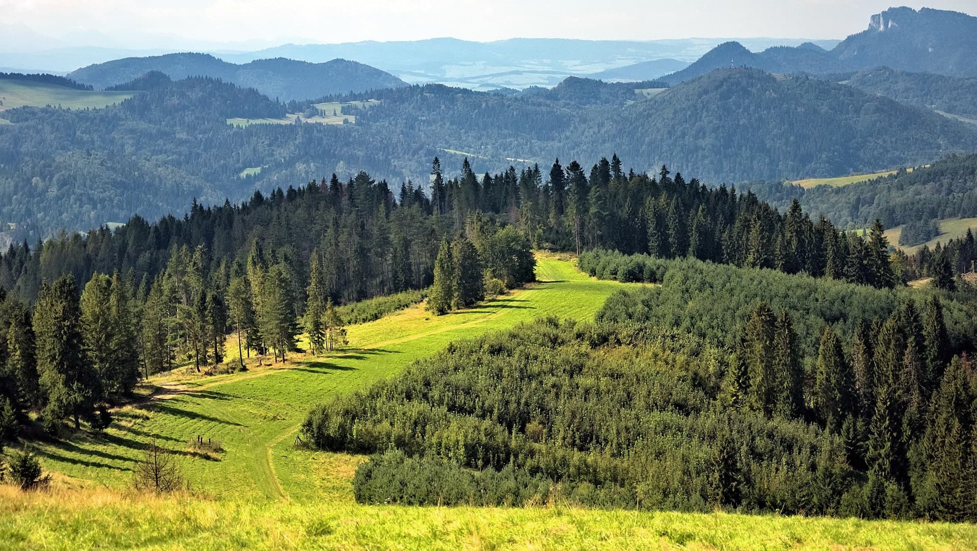 Gorce Mountains landscape